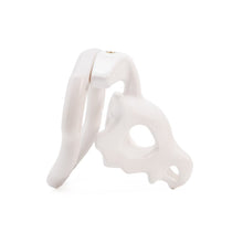 Lade das Bild in den Galerie-Viewer, Dinosaur Skull 3D Chastity Cage product photo - chastity cage by MetalChastity