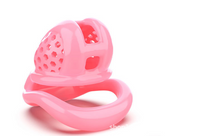 Load image into Gallery viewer, 3D Invisible Cock Cage