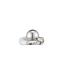 Load image into Gallery viewer, Abstinence Adjustable Metal Chastity Cage