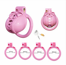 Lade das Bild in den Galerie-Viewer, Bow Pot Lid Chastity Cage 8