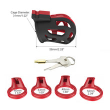 Charger l'image dans la galerie, Cage For Cock - Metalchastity