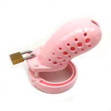 Load image into Gallery viewer, Cage For Penis