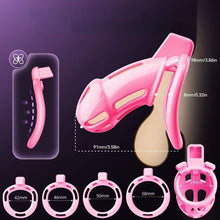 Charger l'image dans la galerie, Candy Powder Contract Chastity Cage 3