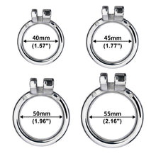 Lade das Bild in den Galerie-Viewer, Cock In Chastity With Dildo