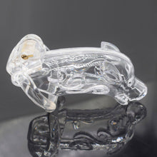 Lade das Bild in den Galerie-Viewer, Dog Shape Male Cock Cage