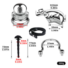 Lade das Bild in den Galerie-Viewer, Dolphin Steel Chastity Cage with Anti-ring Removable - 7