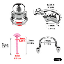 Lade das Bild in den Galerie-Viewer, Dolphin Steel Chastity Cage with Anti-ring Removable - size