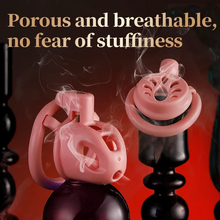 Lade das Bild in den Galerie-Viewer, Dule Chastity Cage Set -9