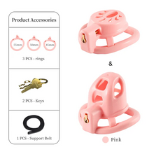 Load image into Gallery viewer, Double Small Chastity Cage Set