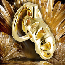 Lade das Bild in den Galerie-Viewer, Luxury Cock Cage - Metalchastity