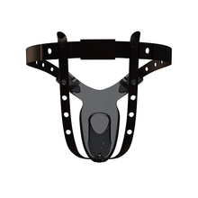 Load image into Gallery viewer, Male Chastity Pants with Lock