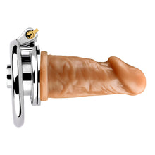 Lade das Bild in den Galerie-Viewer, Negative Chastity Device & Detachable Dildo - Metalchastity