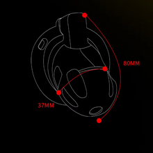 Load image into Gallery viewer, New Stainless Steel Chastity Lock