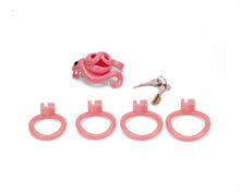 Load image into Gallery viewer, Octopus Wrap Chastity Cage