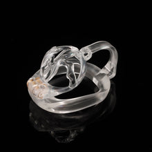 Lade das Bild in den Galerie-Viewer, Personalized Egg Separation Chastity Device