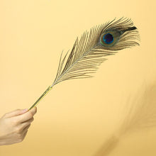 Lade das Bild in den Galerie-Viewer, Sexual Flirtation Feather Set - Metalchastity