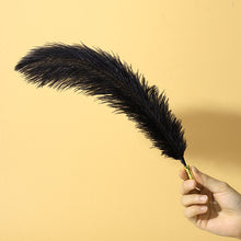 Lade das Bild in den Galerie-Viewer, Sexual Flirtation Feather Set - Metalchastity