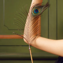 Lade das Bild in den Galerie-Viewer, Sexual Flirtation Feather Set - Metalchastity