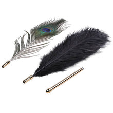 Lade das Bild in den Galerie-Viewer, Sexual Flirtation Feather Set - Metalchastity