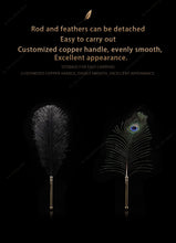 Lade das Bild in den Galerie-Viewer, Sexual Flirtation Feather Set - Metalchastity