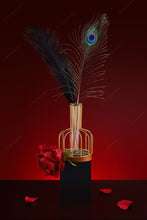 Lade das Bild in den Galerie-Viewer, Sexual Flirtation Feather Set - Metalchastity