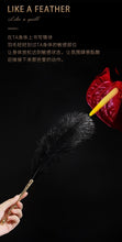 Lade das Bild in den Galerie-Viewer, Sexual Flirtation Feather Set - Metalchastity