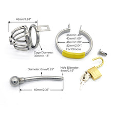 Load image into Gallery viewer, Shield of Chastity