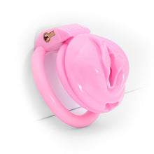 Load image into Gallery viewer, Sissy Labia Chastity Cage - Metalchastity