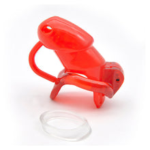 Load image into Gallery viewer, Sissy In Cage