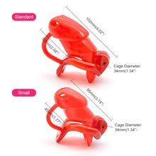 Load image into Gallery viewer, Sissy In Cage