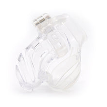 Load image into Gallery viewer, Sissy In Chastity Cage