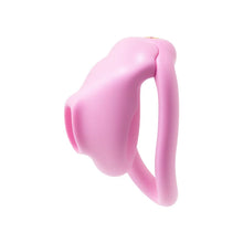 Load image into Gallery viewer, Super Little Bird Chastity Cage 1