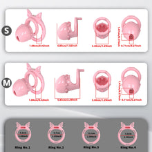 Load image into Gallery viewer, Sweetheart Promise Chastity Cage product photo - chastity cage by MetalChastity
