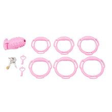 Load image into Gallery viewer, Tartarus Prison Chastity Device product photo - chastity device by MetalChastity