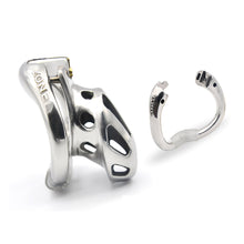 Load image into Gallery viewer, The Locking Love