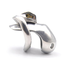 Load image into Gallery viewer, Holy Trainer Chastity Cage