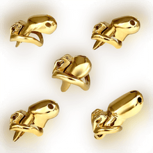 Lade das Bild in den Galerie-Viewer, HTV3 Gold Keuschheitskäfig