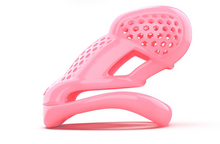 Load image into Gallery viewer, 3D Invisible Cock Cage

