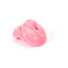 Lade das Bild in den Galerie-Viewer, Invisible Key Sissy Pussy Chastity Device
