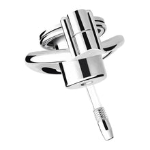 Load image into Gallery viewer, Sissy Extreme Inverted Chastity &amp; Realistic Dildo
