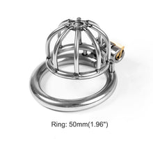 Load image into Gallery viewer, BDSM Cock Cage
