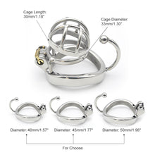Load image into Gallery viewer, Birdlocked Chastity
