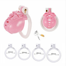 Lade das Bild in den Galerie-Viewer, Bow Pot Lid Chastity Cage 9
