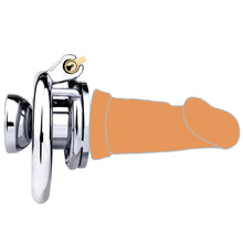 Load image into Gallery viewer, Cock In Chastity With Dildo
