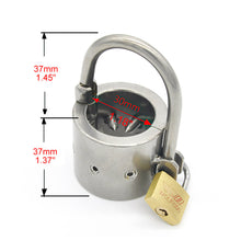 Lade das Bild in den Galerie-Viewer, Cock Ring Spikes Lock
