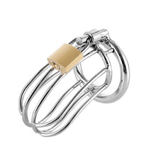Lade das Bild in den Galerie-Viewer, Dick Cage With 3 Rings
