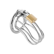Lade das Bild in den Galerie-Viewer, Dick Cage With 3 Rings
