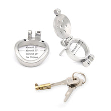 Lade das Bild in den Galerie-Viewer, Double Lock Chastity
