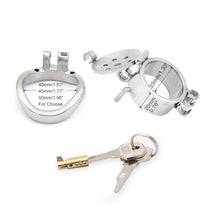 Lade das Bild in den Galerie-Viewer, Double Lock Chastity
