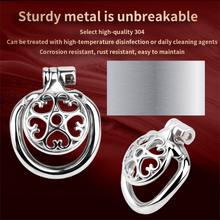 Charger l'image dans la galerie, Locked In Love Chastity Cage
